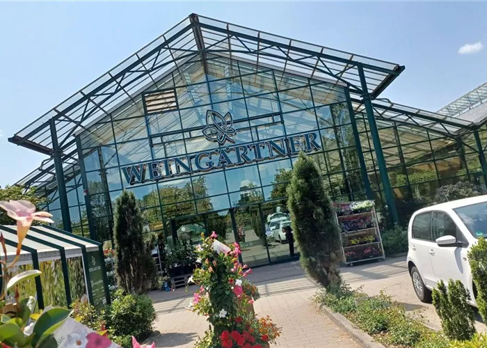 Weingärtner Lilienthal