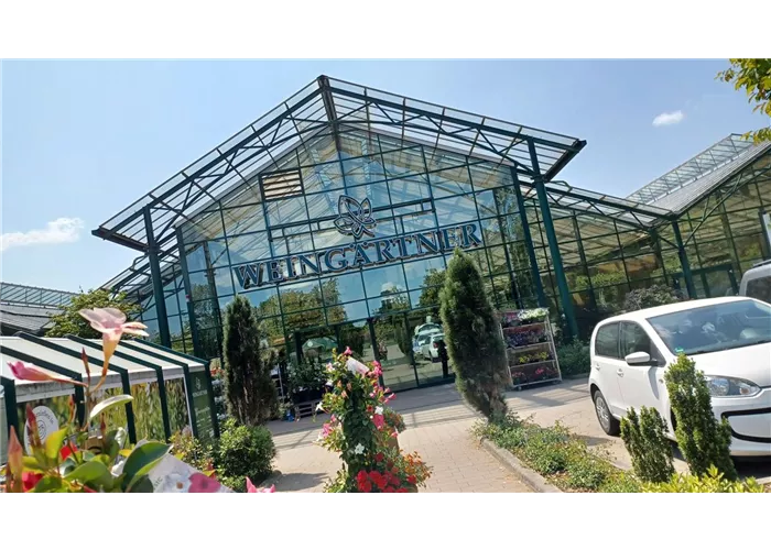 Weingärtner Lilienthal Weingärtner Lilienthal