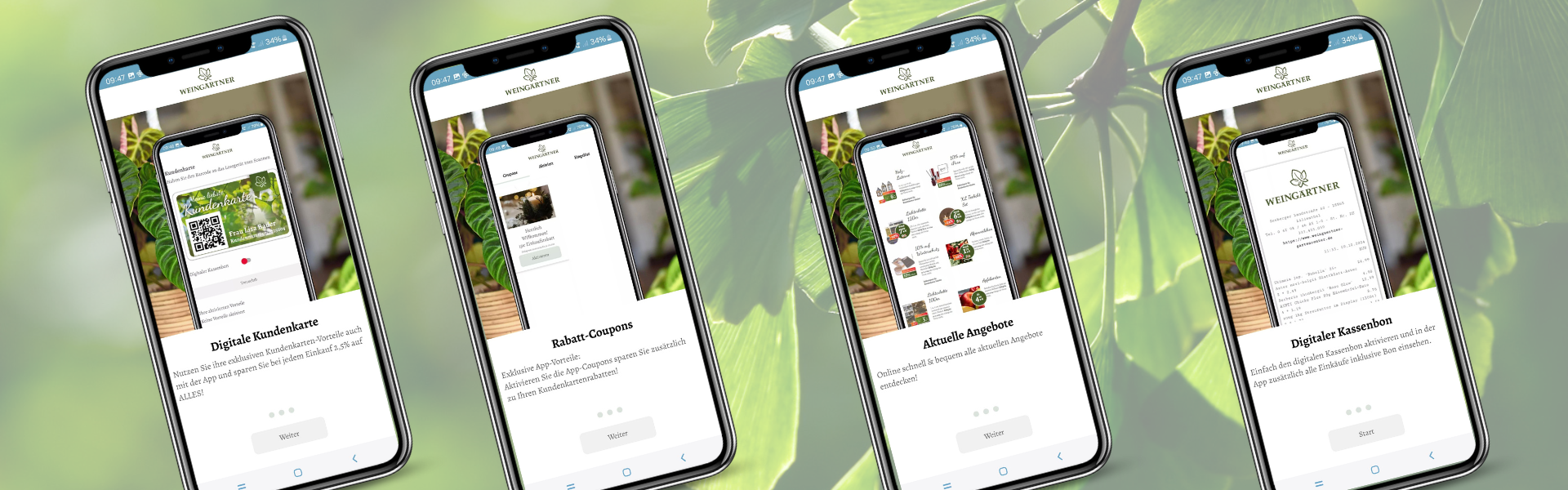 Entdecken Sie die Vorteile mit der Weingärtner App