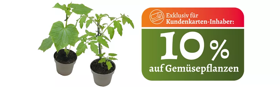 April I Gemüsepflanzen.png