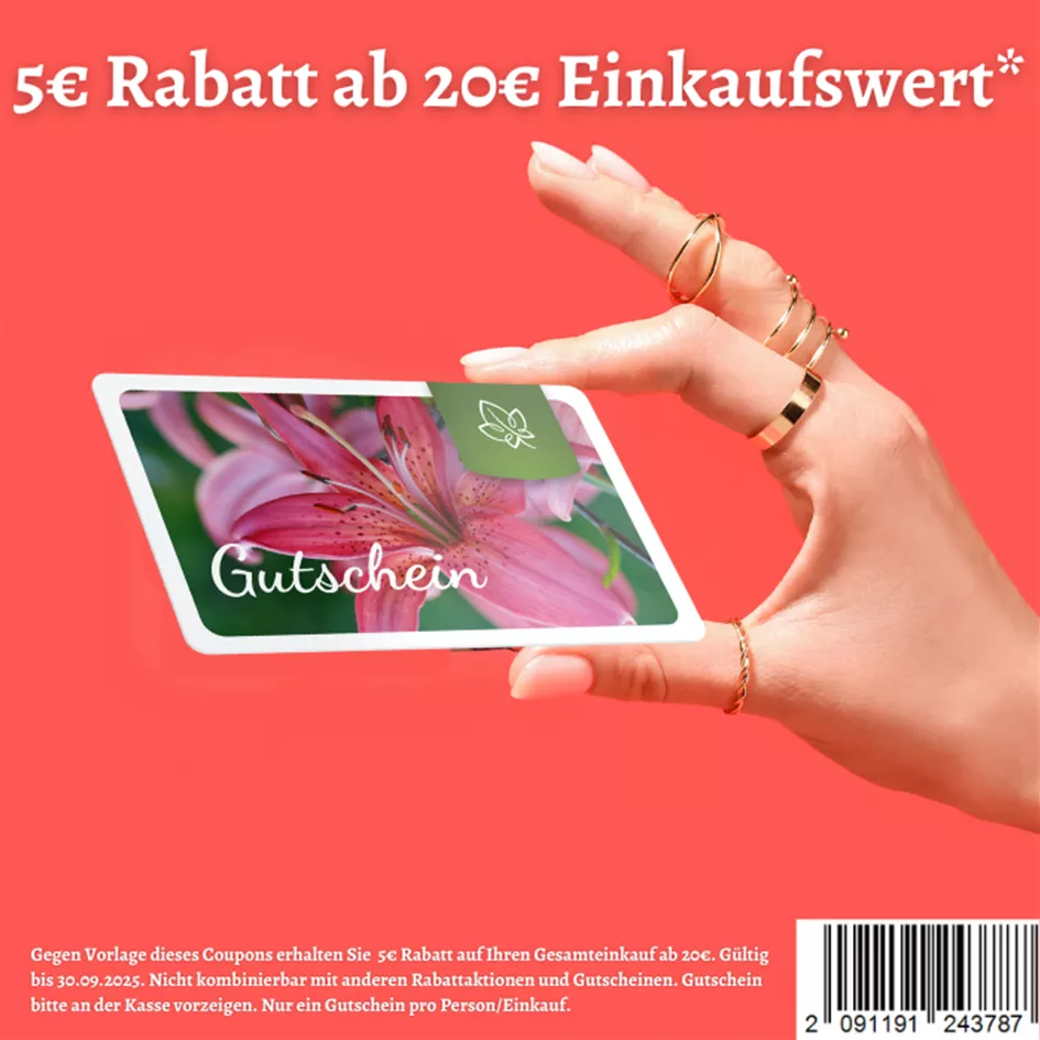 Pop Up Gutschein 700x700 Umfrage Cux bis 30.09.2025.png