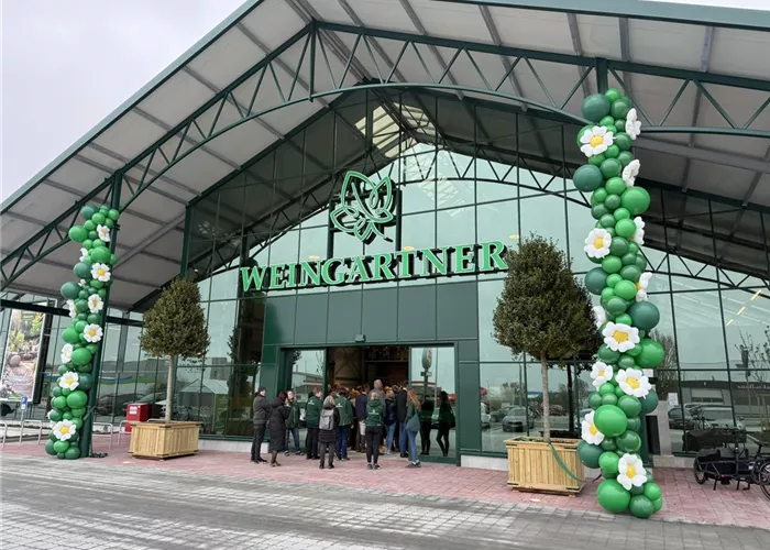 Weingärtner Cuxhaven