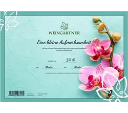 Online-Geschenkgutschein