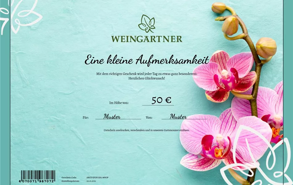 Online-Geschenkgutschein