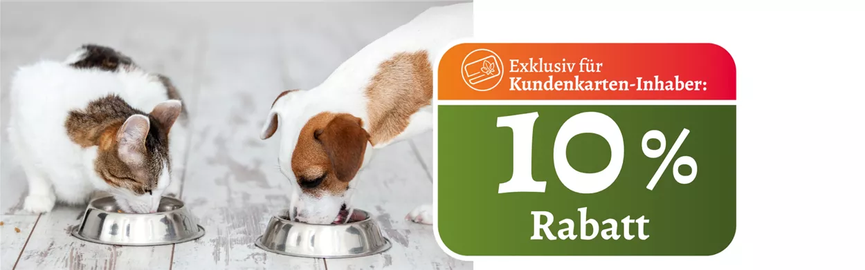 Website August I 1920x600 Tiernahrung.png