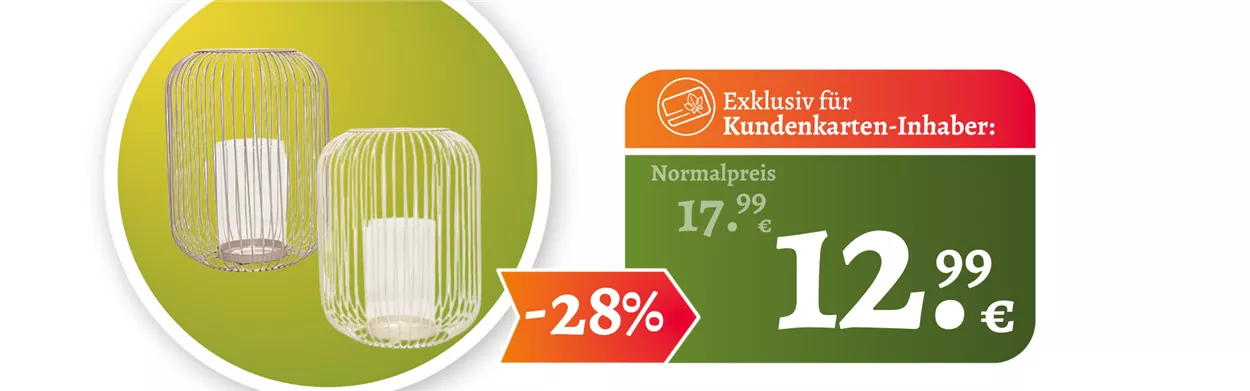 Website August I 1920x600 Windlicht.png