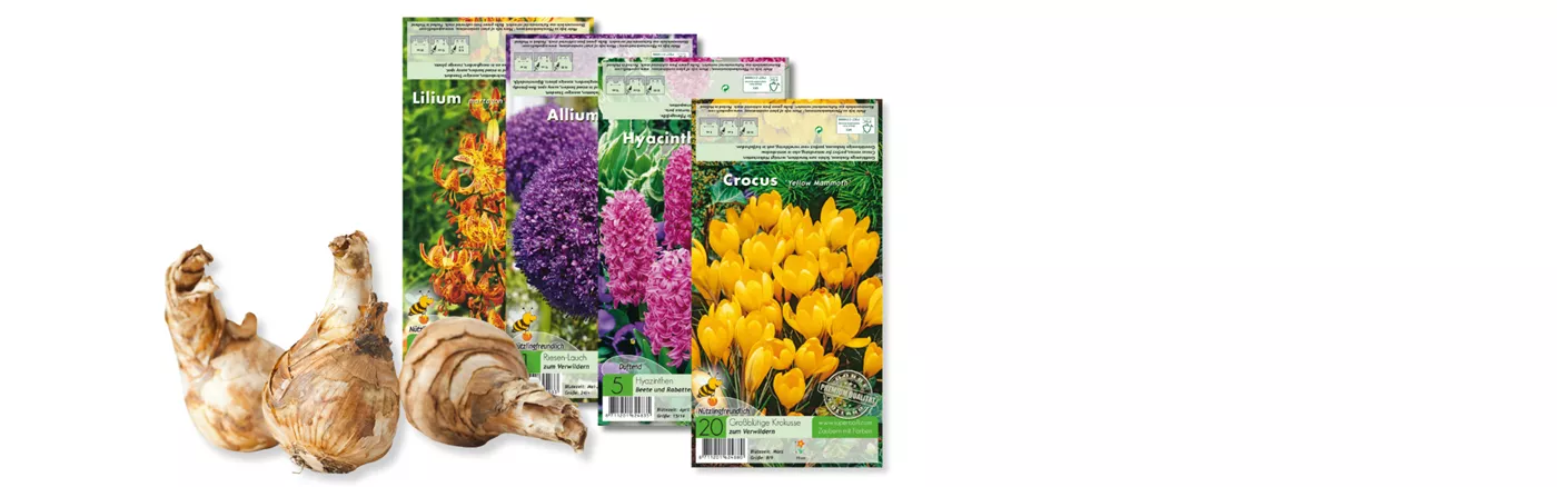 Website Werbung Sept I Blumenzwiebeln.png