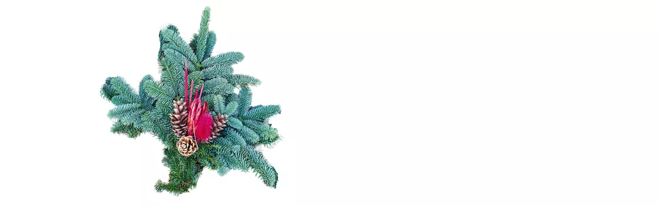 Okt II Grabstrauss.png Okt II Grabstrauss.png