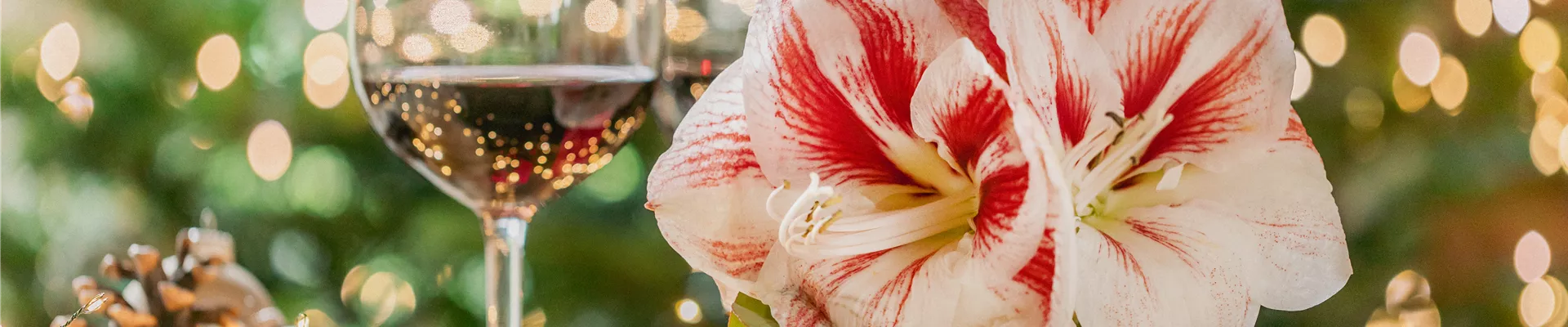 GS960050.jpg GS960050.jpg