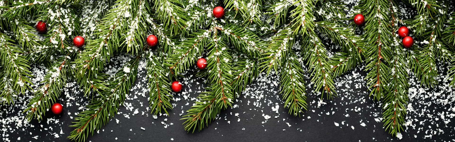 2025 Header WebSeite Events 1920x600.png 2025 Header WebSeite Events 1920x600.png