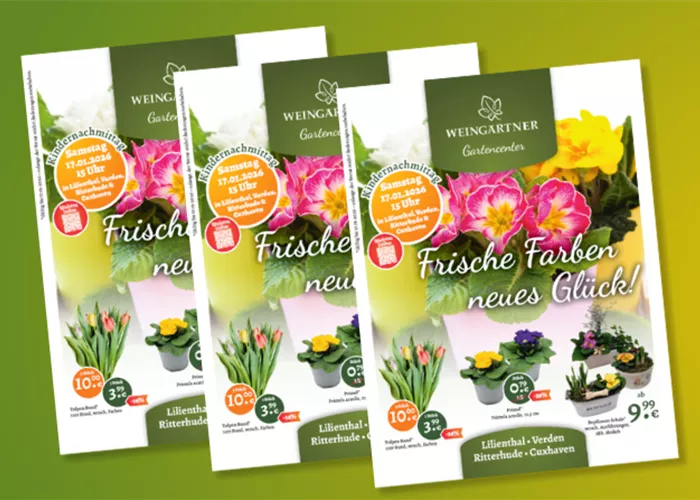 Unsere aktuellen Angebote im Januar