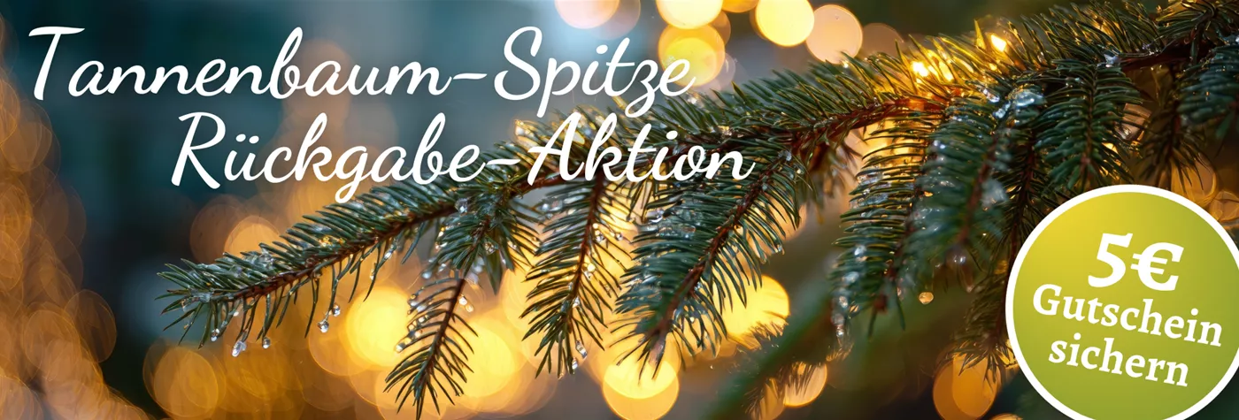 Header WebSeite Tannenspitzen Aktion (1920 x 650 px).png