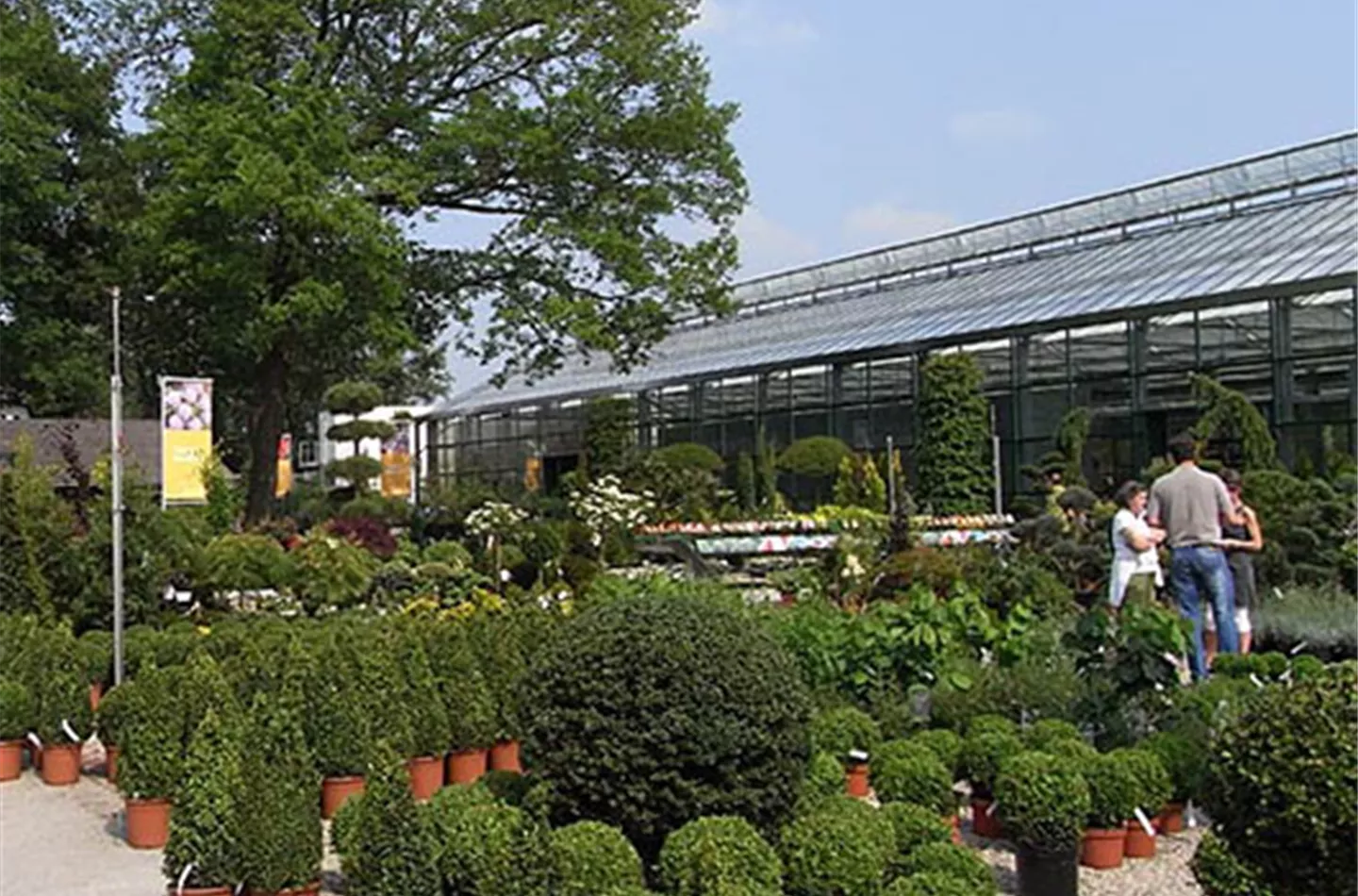 Baumschule Baumschule