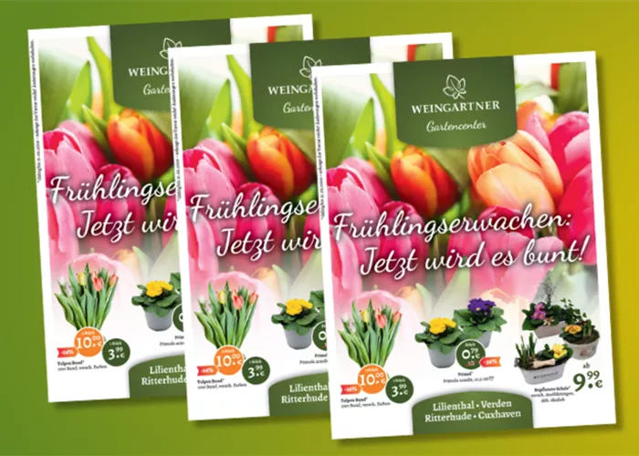 Unsere aktuellen Angebote im Februar