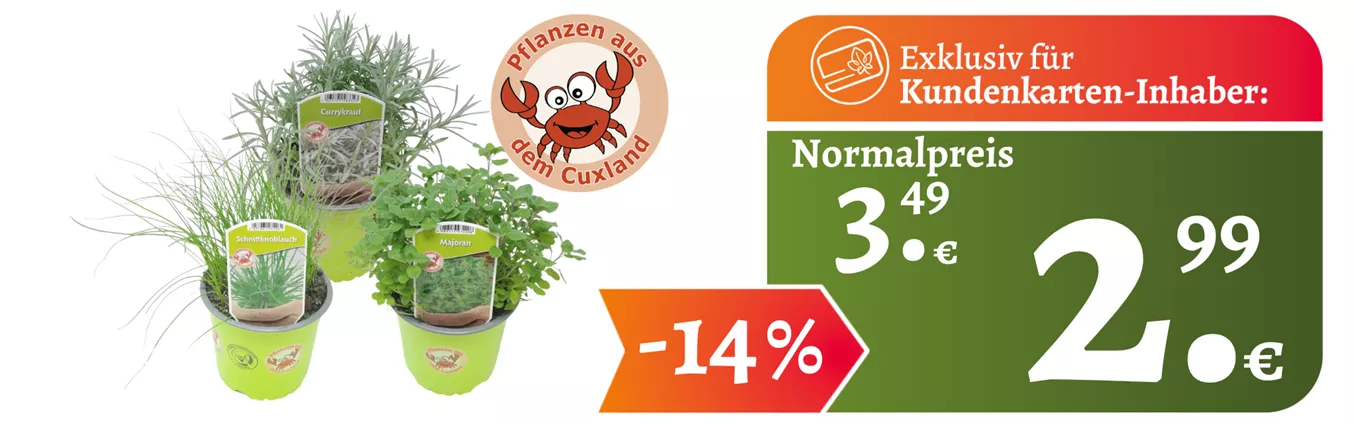 Webnsite KuKa ganzjährig Kräuter Cux.png