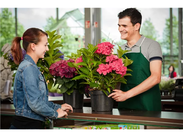 Kassenkraft Ritterhude
