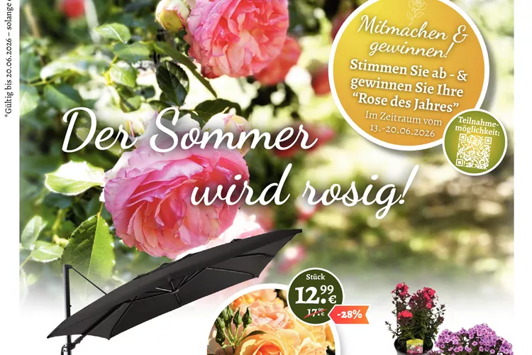 Unsere aktuellen Angebote im Juni