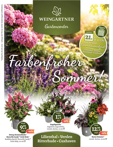 Unsere aktuellen Angebote