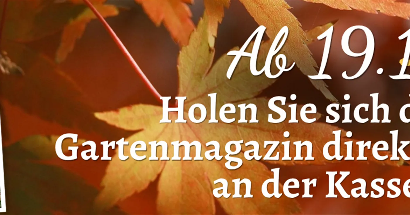 2026 Header Hinweise WebSeite 1920x400 Gartenmagazin 3.png 2026 Header Hinweise WebSeite 1920x400 Gartenmagazin 3.png
